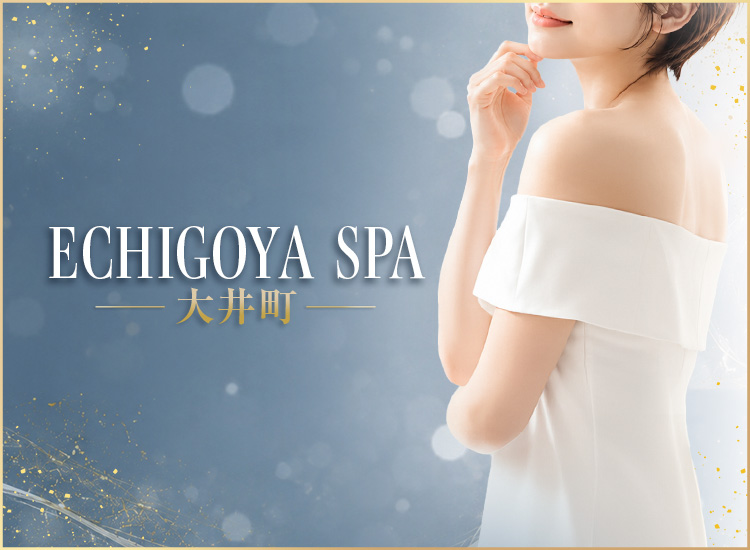 ECHIGOYA SPA 大井町